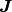 \boldsymbol{J}