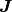 \boldsymbol{J}