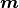 \boldsymbol{m}
